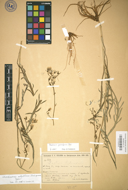 LE 01024518