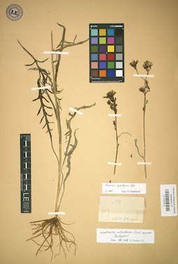 LE 01024519