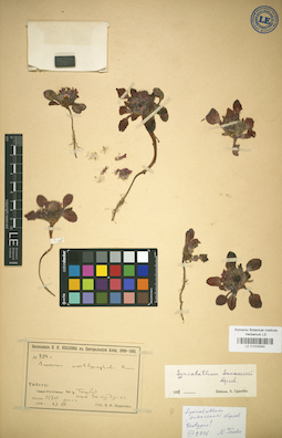 LE 01024543