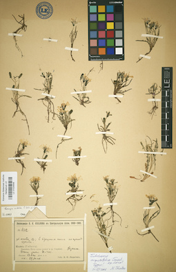 LE 01024548