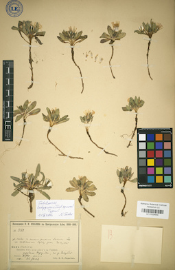 LE 01024549