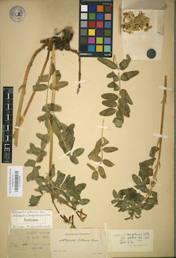 LE 01024585