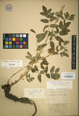 LE 01024586