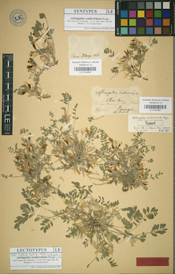 LE 01024591