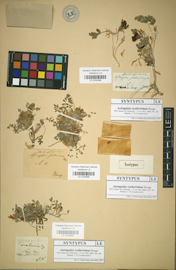 LE 01024595