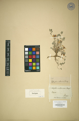 LE 01024596