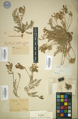 LE 01024632