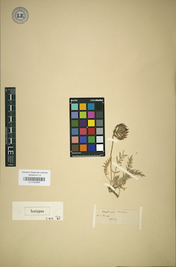 LE 01024634