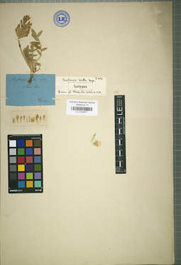 LE 01024671