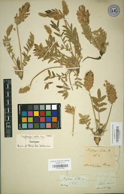 LE 01024672