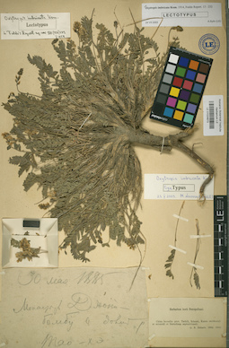 LE 01024673