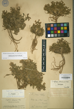 LE 01024742