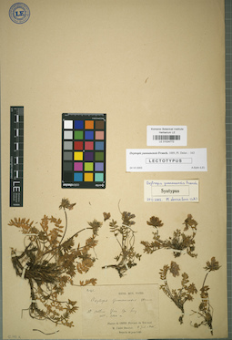 LE 01024772
