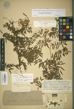 LE 01024786