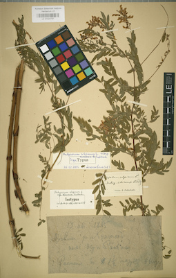 LE 01024787