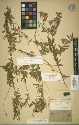 LE 01024788