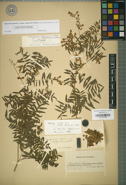 LE 01024789
