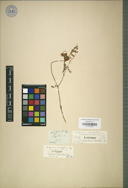 LE 01024791