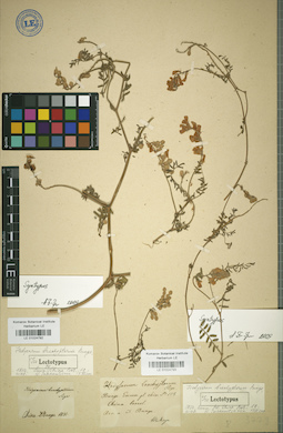 LE 01024792