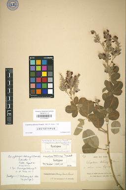 LE 01024825