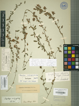 LE 01024828