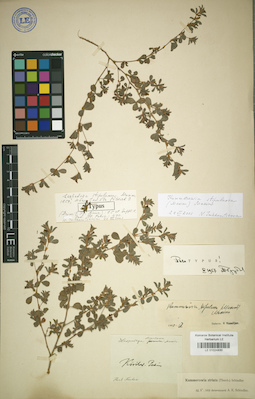 LE 01024830