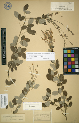 LE 01024834