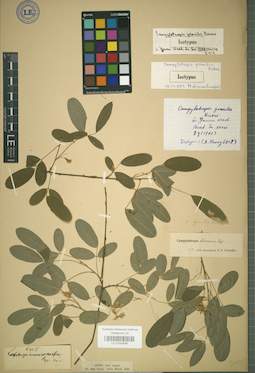 LE 01024839