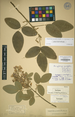 LE 01024840