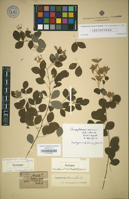 LE 01024841