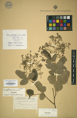 LE 01024843