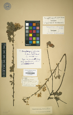 LE 01024847