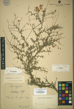 LE 01024848