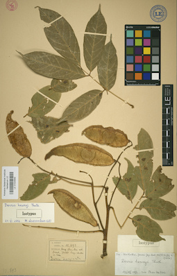 LE 01024849