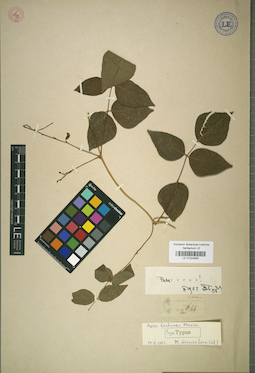 LE 01024860