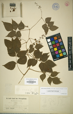 LE 01024861