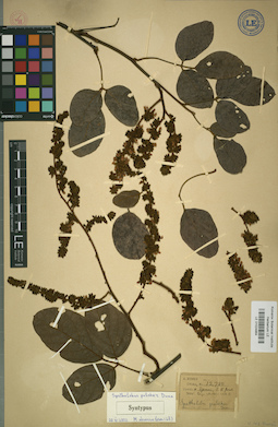 LE 01024864