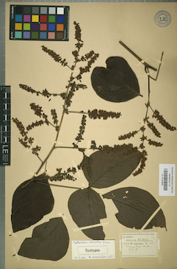LE 01024865