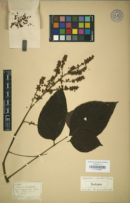 LE 01024866
