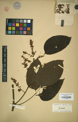 LE 01024867