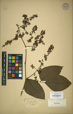 LE 01024868