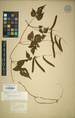 LE 01024872