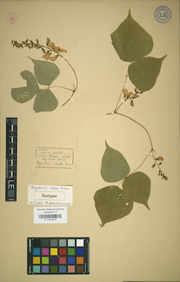 LE 01024873