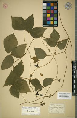 LE 01024875