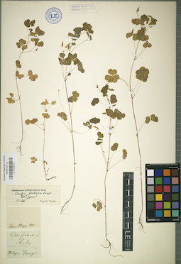 LE 01025019