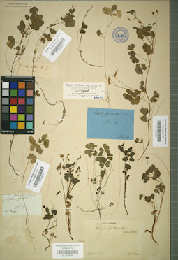 LE 01025022