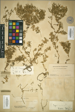LE 01025038