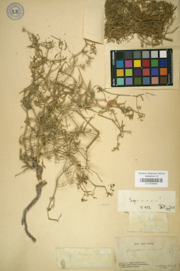 LE 01025042