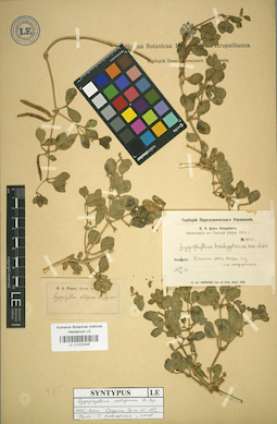 LE 01025046