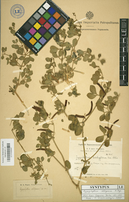 LE 01025047